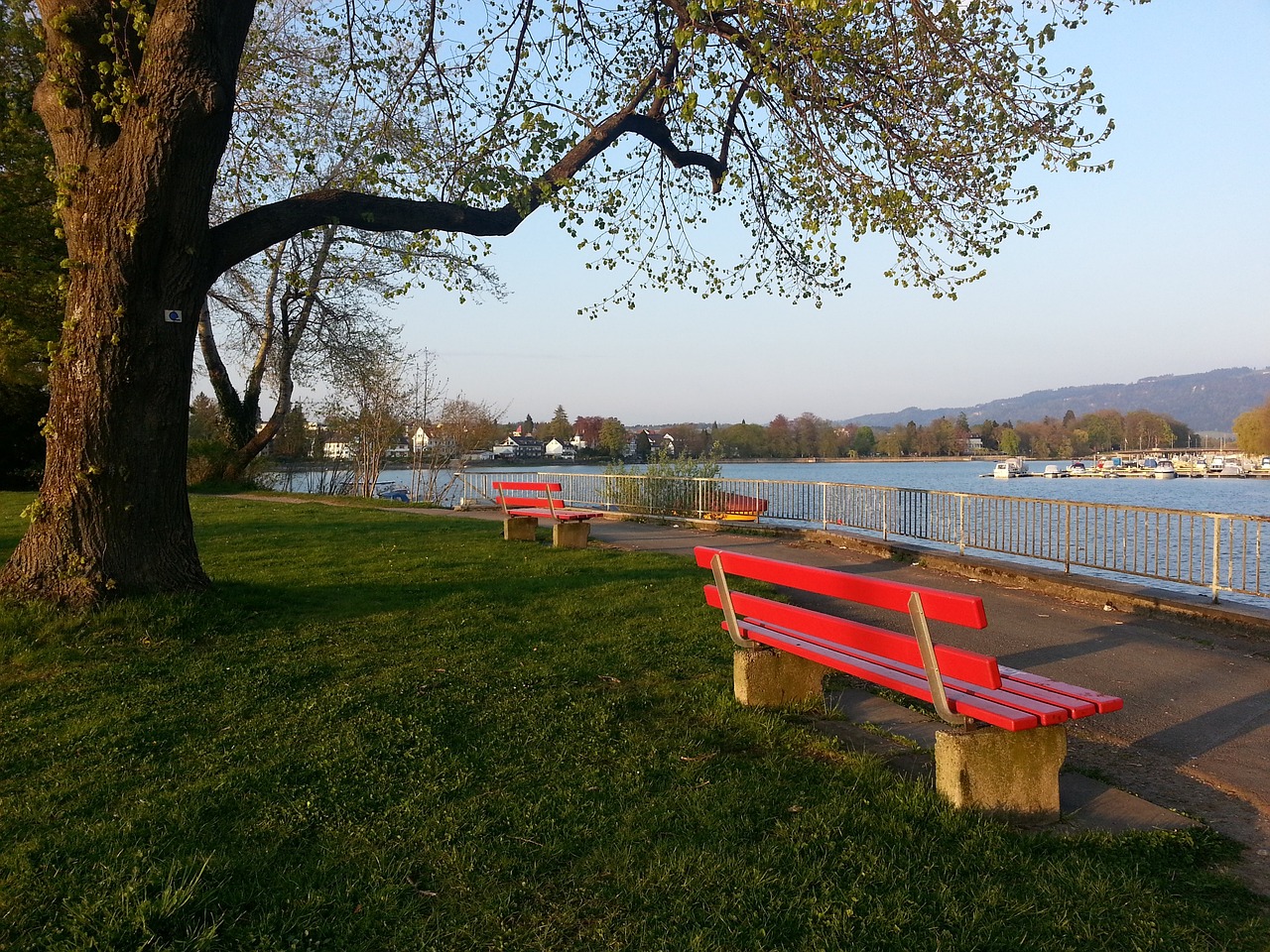 固了自己的 固了自己的